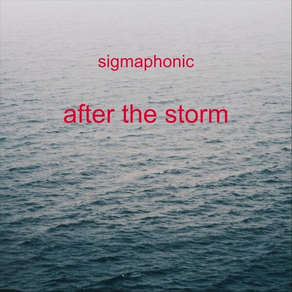 Cover art for After the Storm